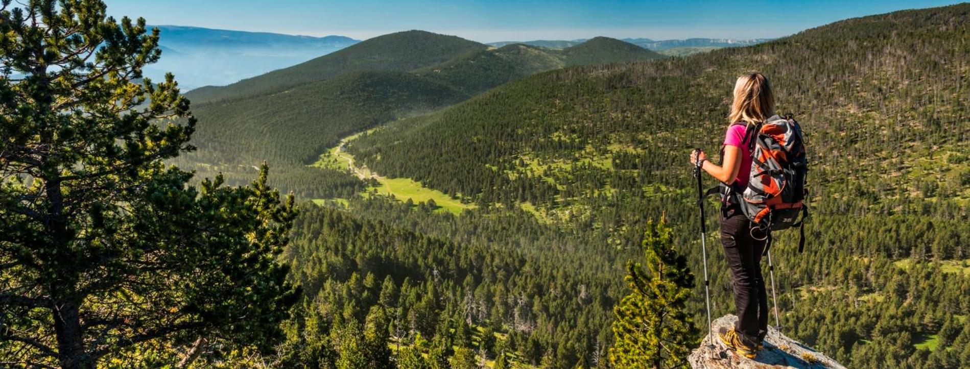 Apartaments Sort Pirineus Экстерьер фото